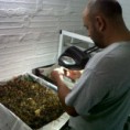 /album/fotogaleria/excelente-alumno-de-medellin-carlos-buitrago-jpg/